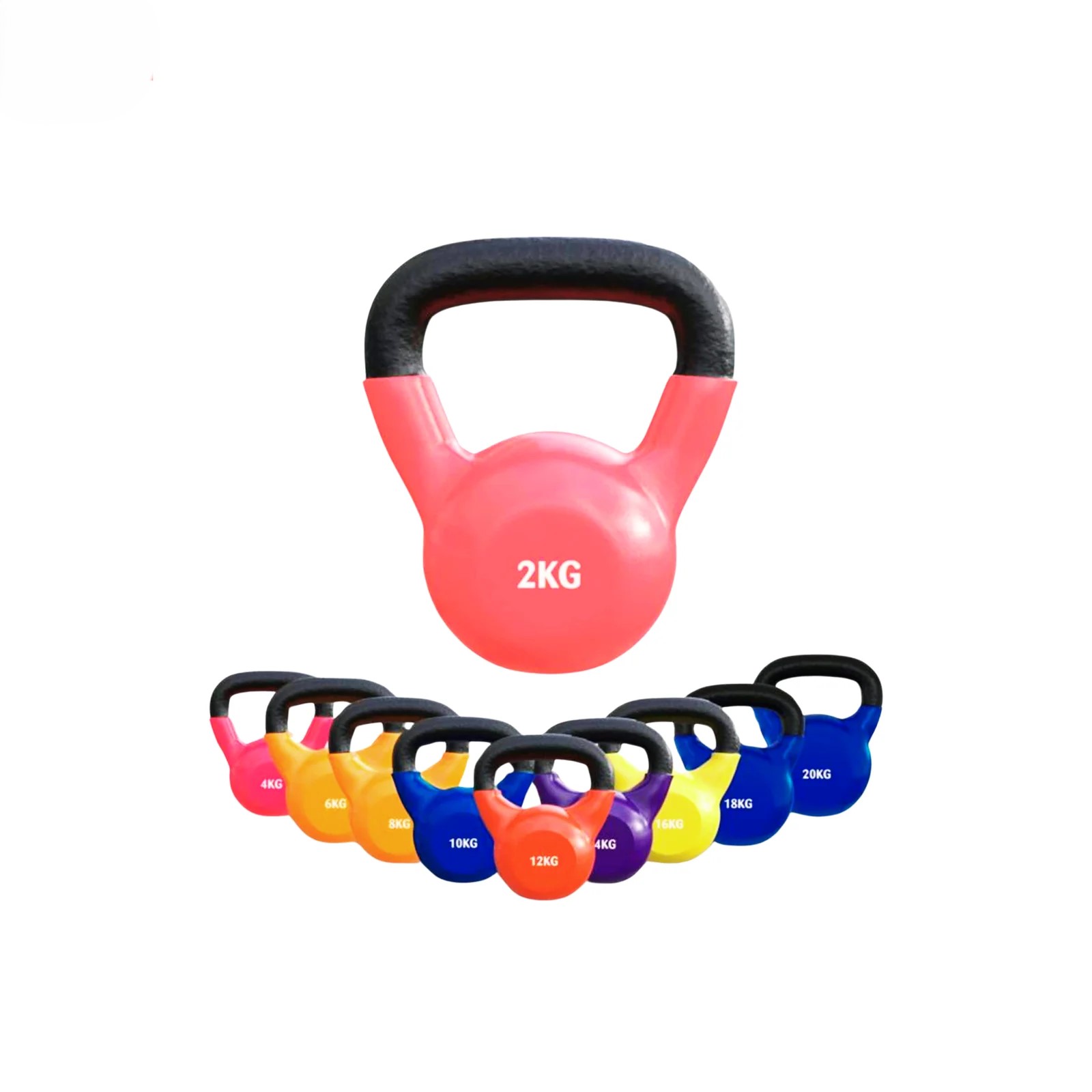 Kettlebell Dumbbell – Premium Cast Iron, Multiple Weight Options (8kg to 48kg)
