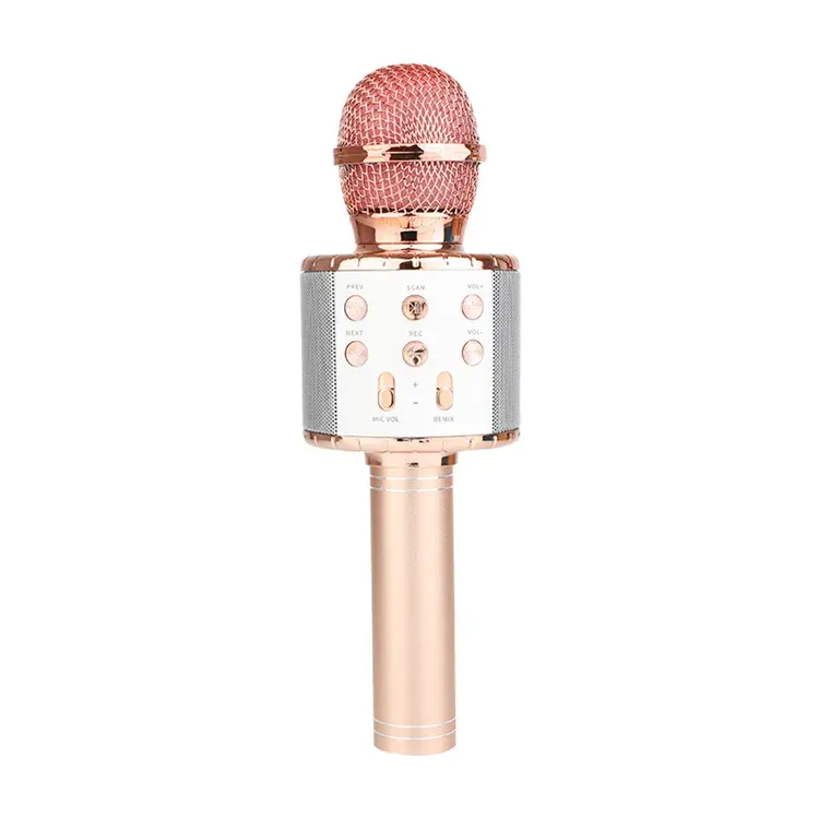 WS858 Portable Handheld Bluetooth Microphone – Wireless Karaoke Mic with RGB LED Lights & Speaker